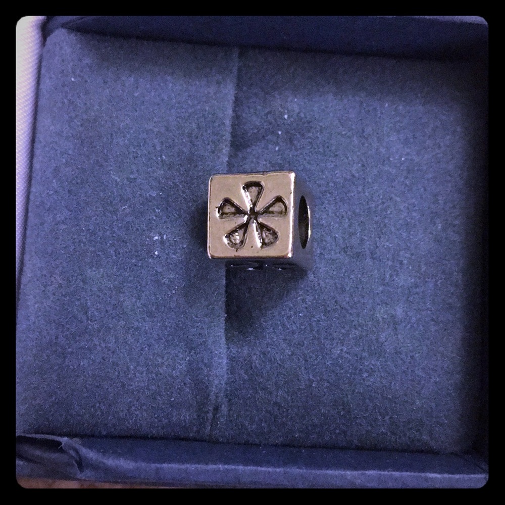 Kay Jewelers Charmed Memories square flower bead
